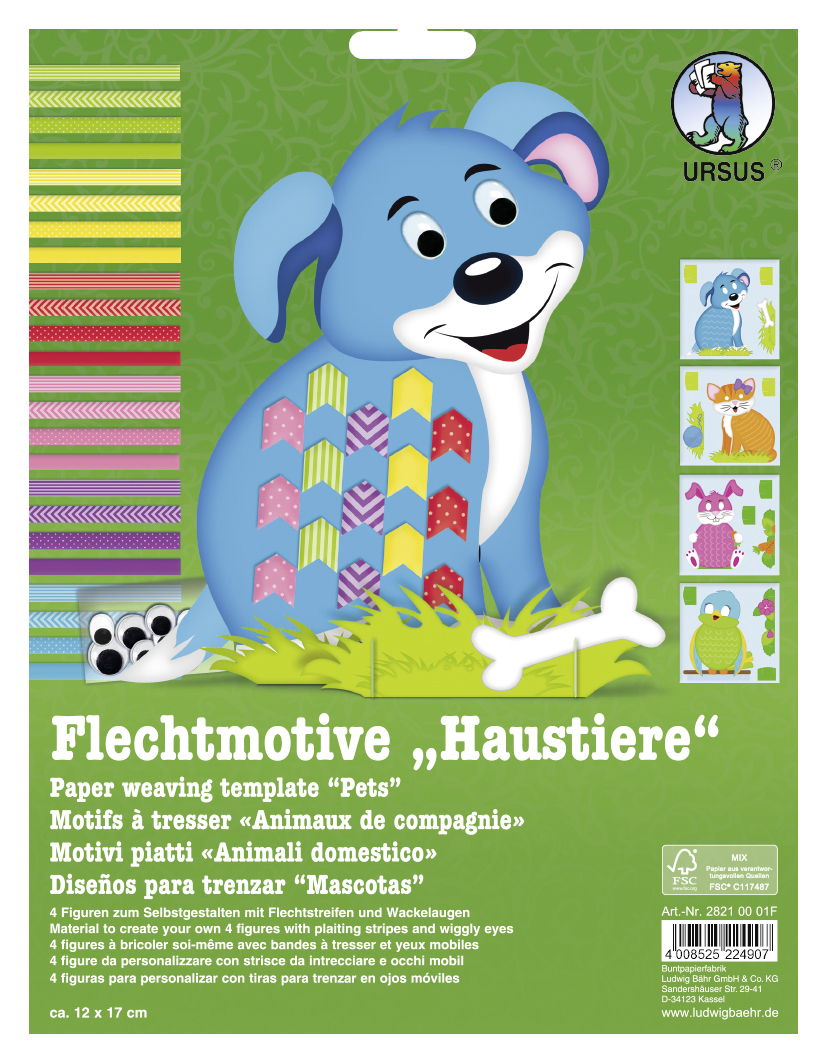 Pets braiding motifs